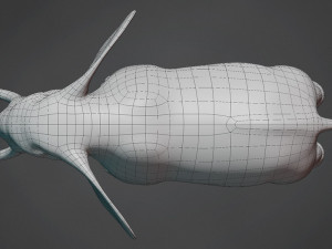 elephant base mesh 3D Model