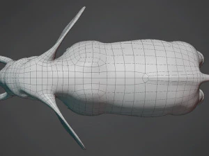 elephant base mesh 3D Model