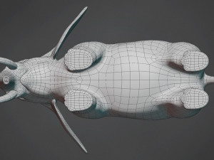 elephant base mesh 3D Model