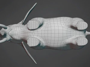 elephant base mesh 3D Model
