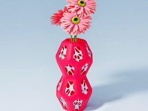 hexa-penta flower vase 3d print 3D Print Model