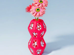 헥사펜타 꽃병 3D 프린트 3D 프린트 모델