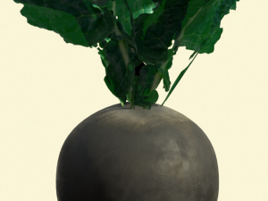 3d radish pack 3D Model