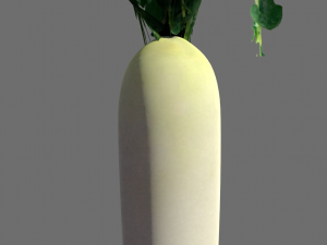 3d radish pack 3D Model