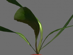 3d radish pack 3D Model