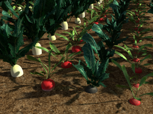 3d radish pack 3D Model