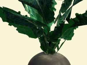 3d radish pack 3D Model