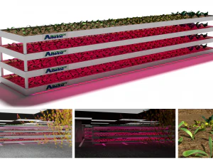 3d realistic indoor vertical farming 3D Model