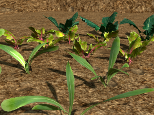 3d realistic indoor vertical farming 3D Model