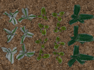3d vegtable pack model 3D Модель