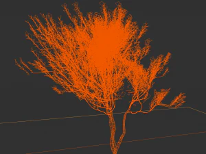 4 seasons amelanchier lamarckii bush pack model 3D Model