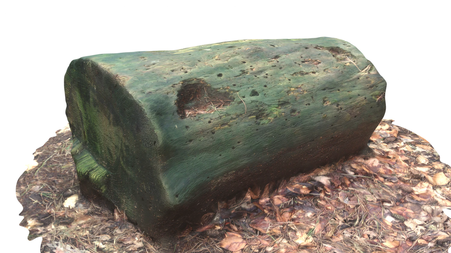 3d sawn of tree part model 3D Model .c4d .max .obj .3ds .fbx .stl .blend 