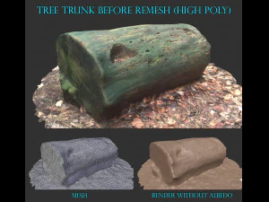 3d sawn of tree part model 3D Model