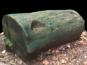 3d sawn of tree part model Model 3D