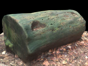 3d sawn of tree part model 3D Model