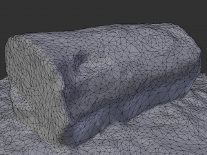 3d sawn of tree part model Model 3D