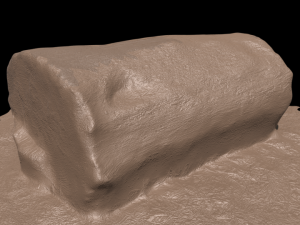 3d sawn of tree part model Model 3D