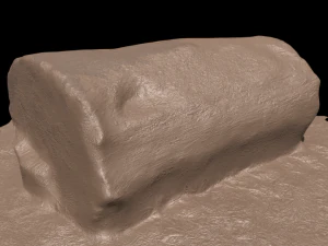 3d sawn of tree part model 3D Model