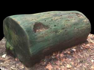 3d sawn of tree part model 3D Model