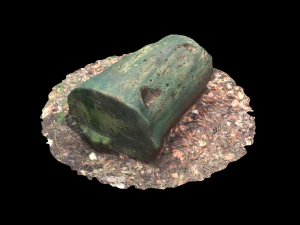 3d sawn of tree part model 3D Model