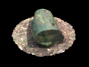 3d sawn of tree part model Model 3D