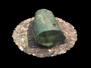 3d sawn of tree part model 3D Model