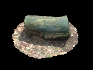 3d sawn of tree part model Model 3D