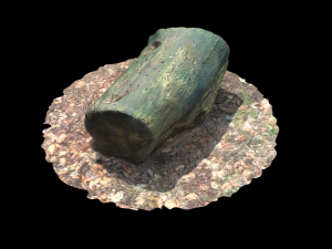 3d sawn of tree part model Model 3D