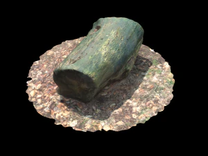 3d sawn of tree part model 3D Model