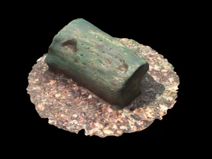 3d sawn of tree part model 3D Model
