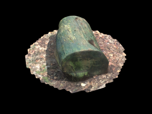 3d sawn of tree part model Model 3D