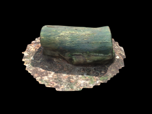 3d sawn of tree part model Model 3D