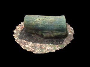 3d sawn of tree part model 3D Model