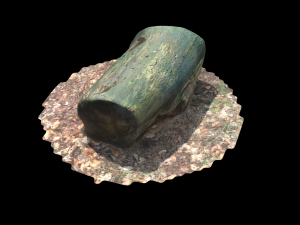 3d sawn of tree part model Model 3D