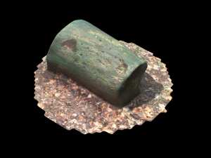 3d sawn of tree part model 3D Model