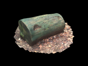 3d sawn of tree part model Model 3D