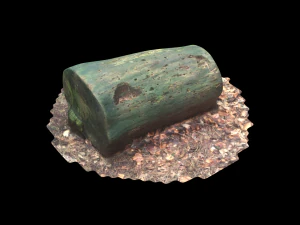 3d sawn of tree part model 3D Model
