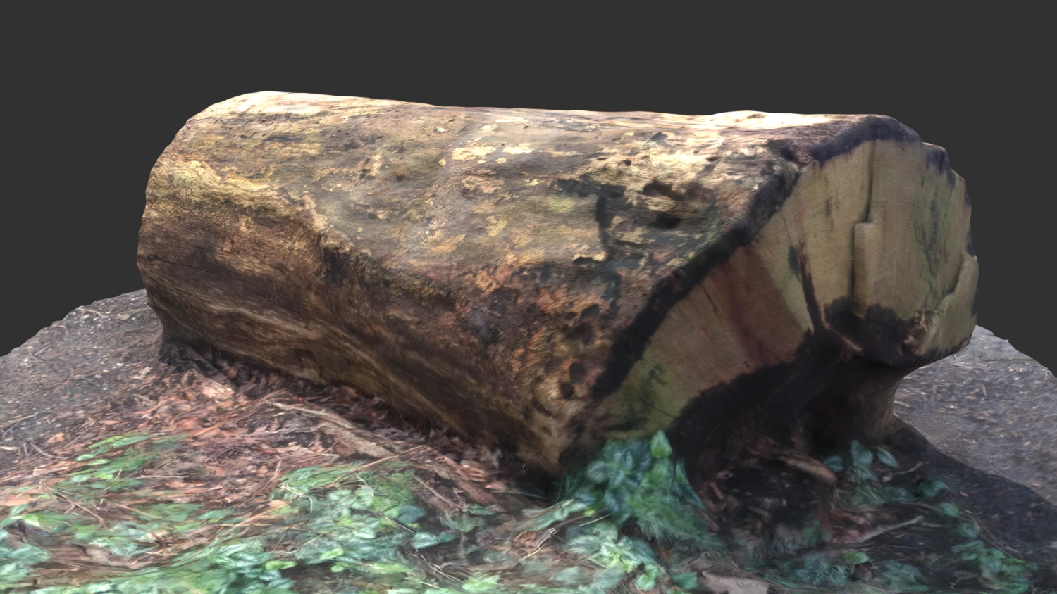 3d sawn of tree part 2 3D Model .c4d .max .obj .3ds .fbx .stl .blend