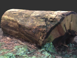 3d sawn of tree part 2 3D Model