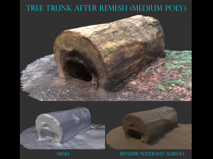 3d sawn of tree part 2 3D Model