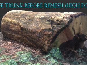 3d sawn of tree part 2 3D Model