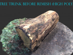 3d sawn of tree part 2 3D Model