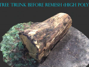 3d sawn of tree part 2 3D Model