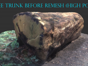 3d sawn of tree part 2 3D Model