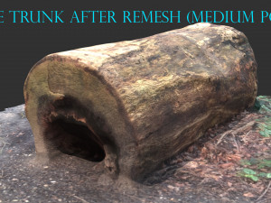 3d sawn of tree part 2 3D Model