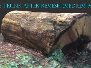 3d sawn of tree part 2 3D Model