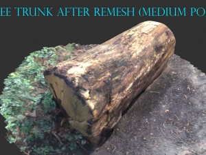 3d sawn of tree part 2 3D Model