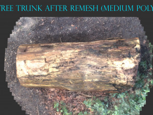 3d sawn of tree part 2 3D Model