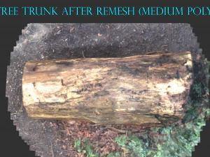 3d sawn of tree part 2 3D Model