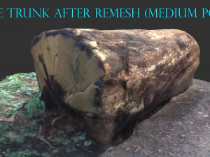 3d sawn of tree part 2 3D Model